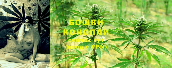 мдпв Покачи