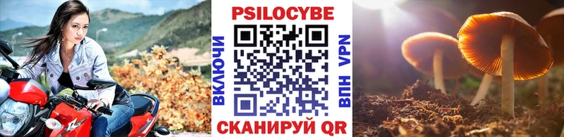 Галлюциногенные грибы GOLDEN TEACHER  Андреаполь 
