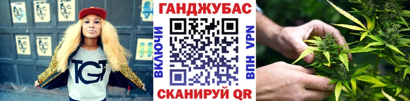 Каннабис индика  как найти наркотики  Андреаполь 